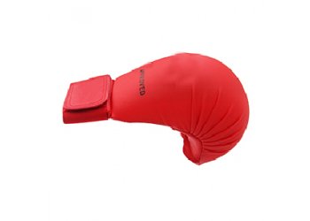 Karate Mitt