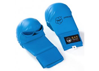 KARATE MITTS