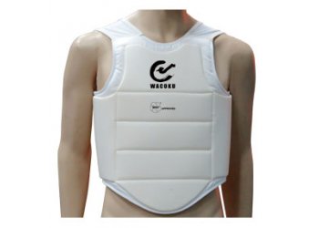 BODY PROTECTOR