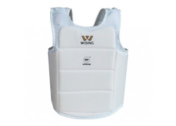 BODY PROTECTOR