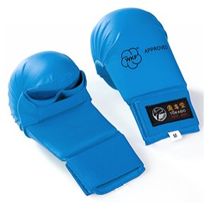 KARATE MITTS