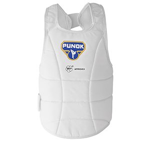 Body Protector