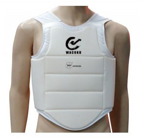 BODY PROTECTOR