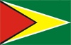 GUYANA Flag