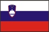 SLOVENIA Flag