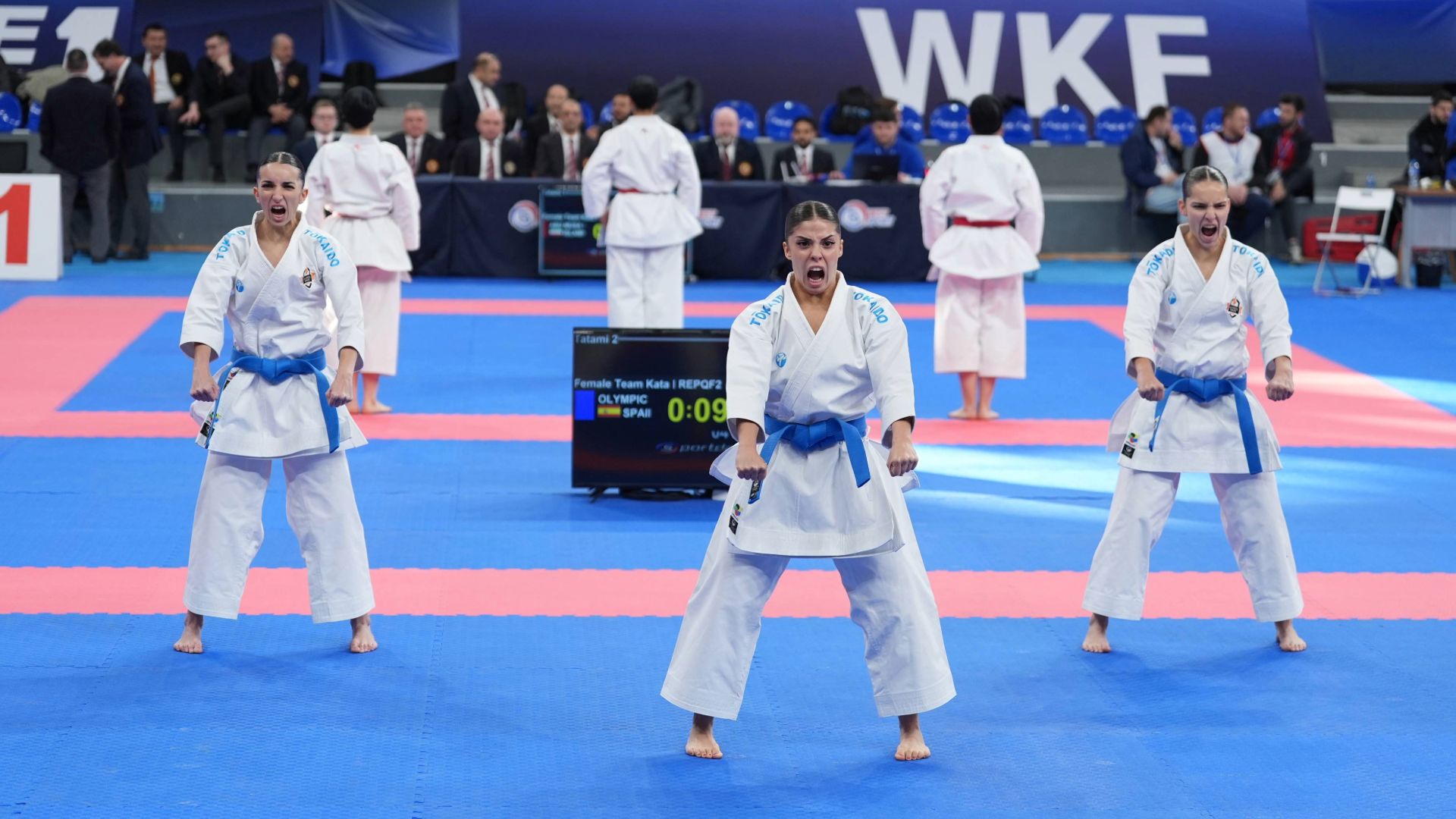 Iranian Athletes Shine on Final Day of Karate 1-Series A Tbilisi 2025