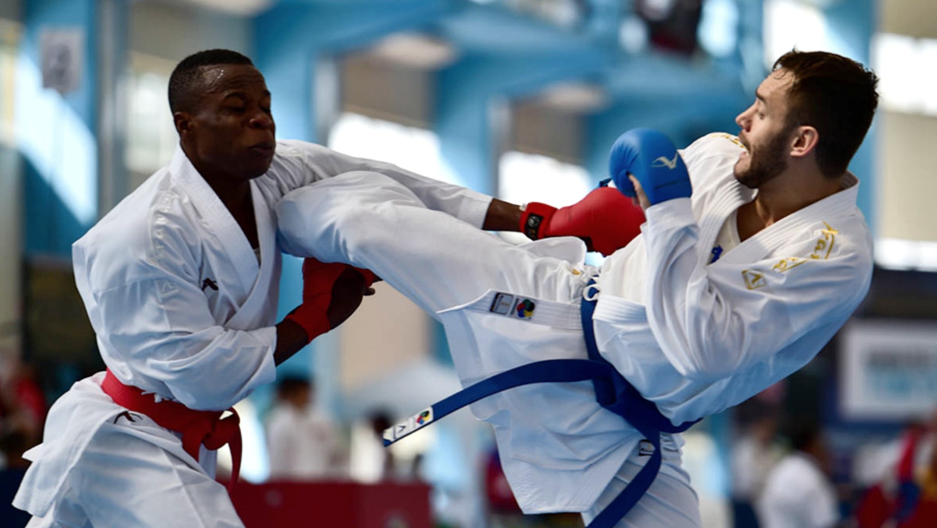 Karate's elite in the Americas clash for glory in Curacao