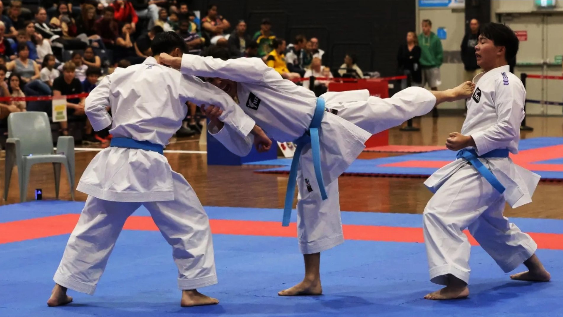 OKF Senior Championships 2024: Australia Dominates in Sydney