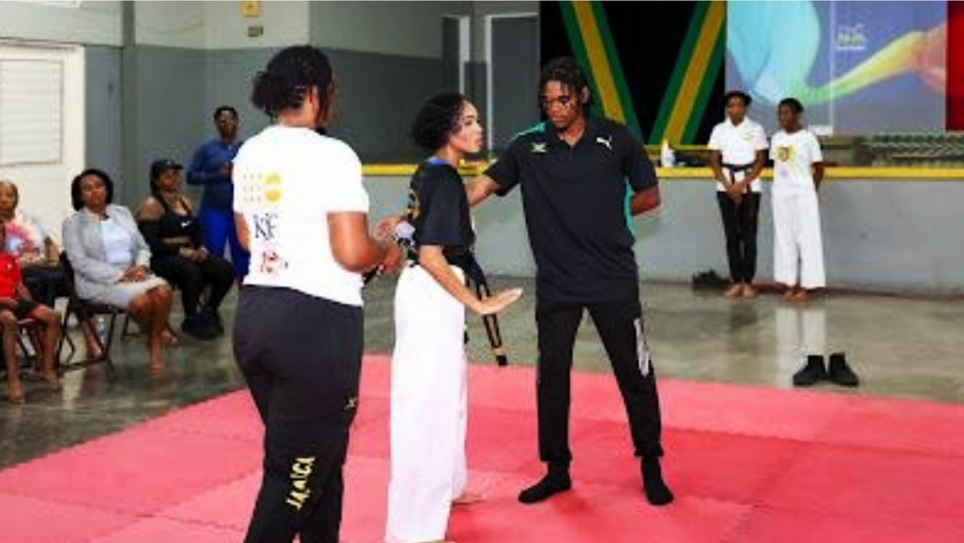 Jamaican Women Empowered at Guardian Girls Karate Seminar in Kingston